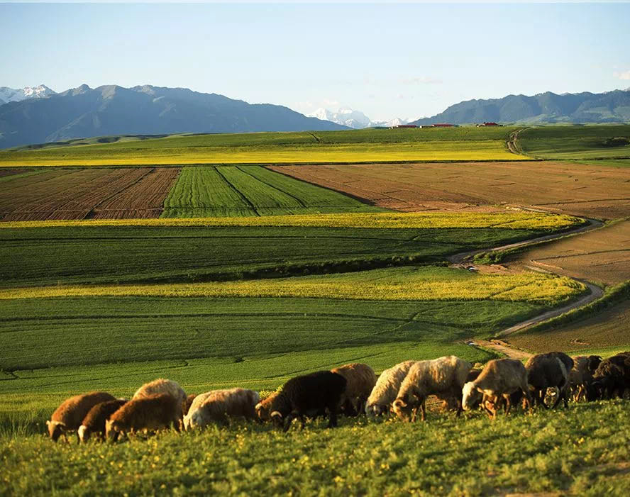 SUNBET申博·(中国区)集团-官方网站